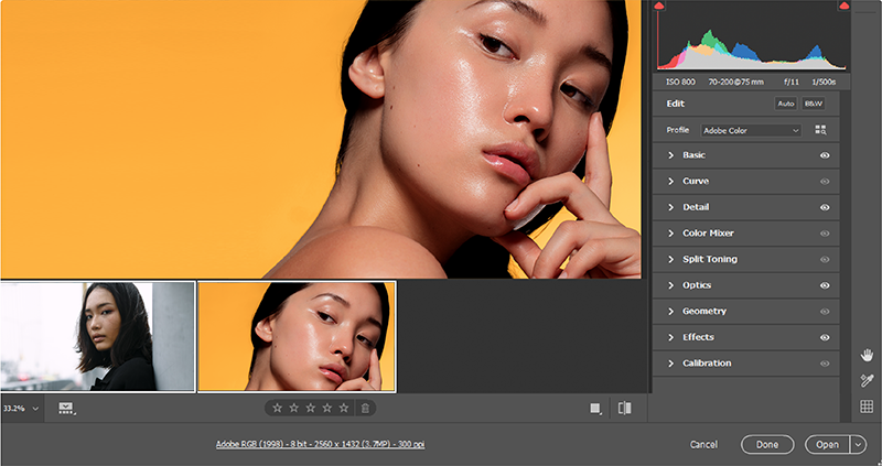 Adobe Photoshop 2020 for macCamera Raw